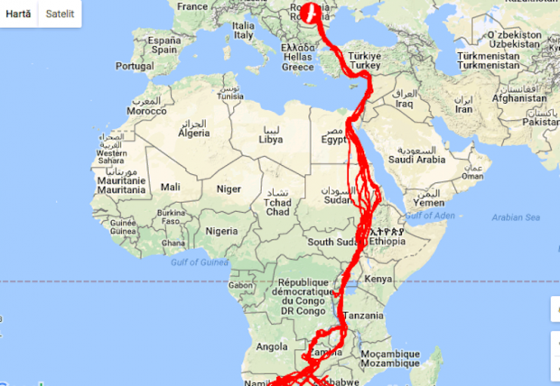 Acvila Arlie s-a întors în România. A zburat din Africa peste 12.000 de kilometri ca să ajungă în țara noastră