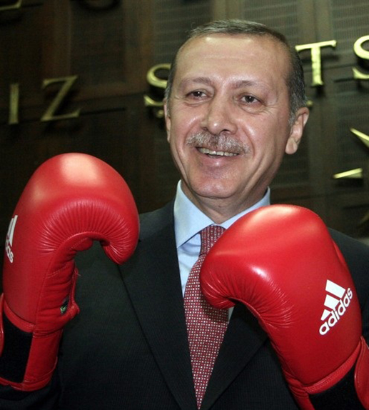Erdogan2